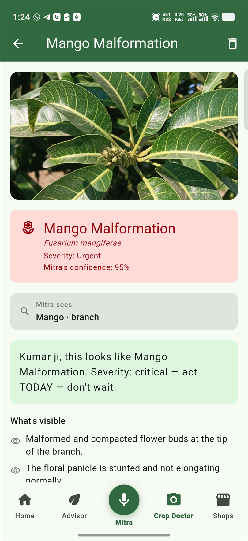Photograph a sick plant — get the disease and cure
