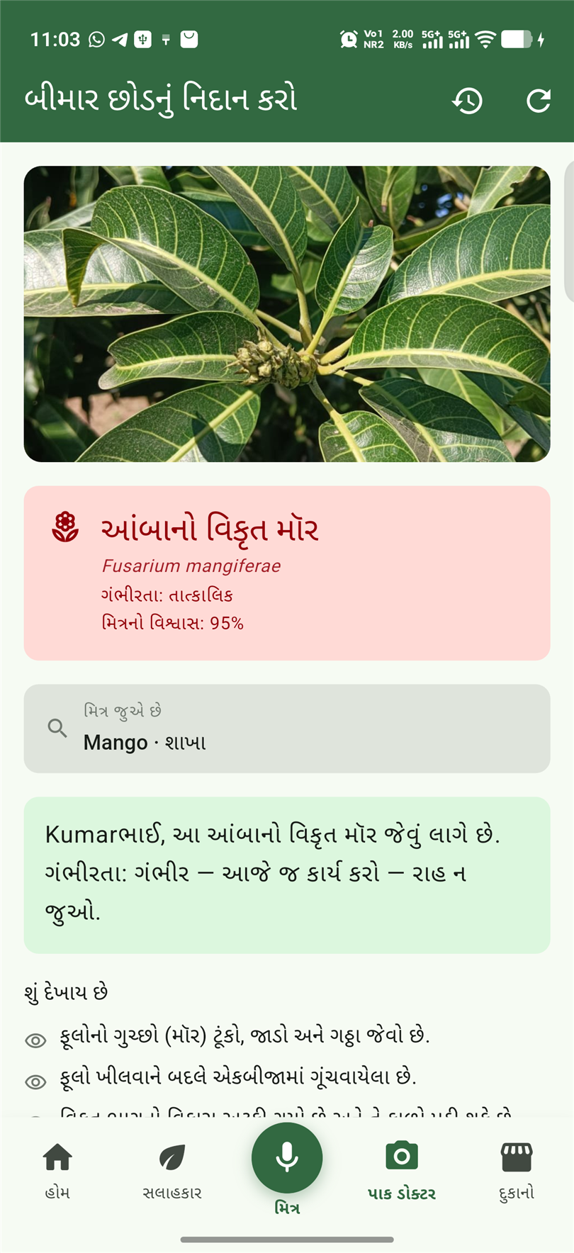 બીમાર છોડનો ફોટો પાડો — રોગ અને ઈલાજ મેળવો