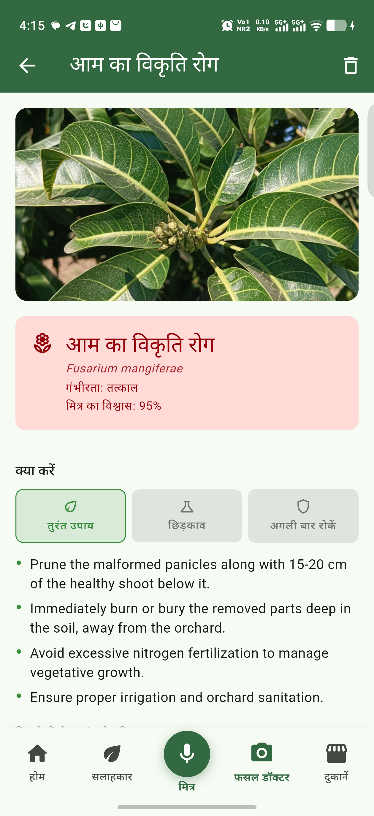 बीमार पौधे की फोटो लें — रोग और इलाज पाएं