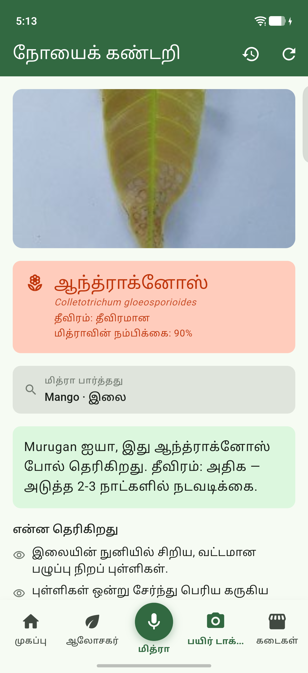நோய்வாய்ப்பட்ட செடியை படம் எடுங்கள் — நோயும் தீர்வும்